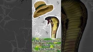 Aesops Fables  The Countryman and the Snake Shorts aesopsfables aesopfables [upl. by Dulcea]