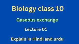 Gaseous exchange Chapter 10  Biology Class 10 Explain in Hindi and urdu [upl. by Epoillac671]