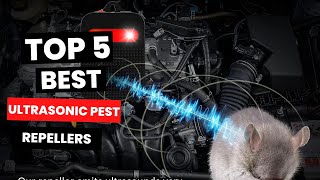 5 Best Ultrasonic Pest Repellers That Actually WORK [upl. by Bough]