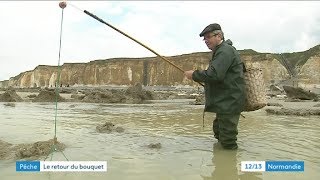 Le retour de la pêche au bouquet [upl. by Elfreda]