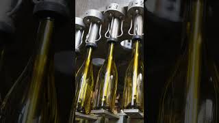 The Frey Bottling Line FreyWines SustainableWine WineBottles GlassBottles EcoFriendlyWine [upl. by Rybma]