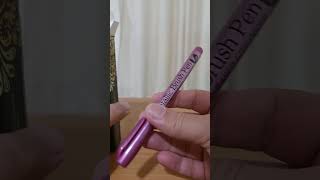 Brush Metallic Marker Pens Set Permanent Art Markers Artist Unboxing [upl. by Akinuahs]