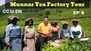 Munnar Tea Factory visit EP 4  A to Z of Tea Orthodox Method [upl. by Eckart396]