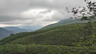 Tea estate valparai [upl. by Eanrahs]