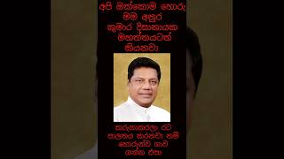 අපි ඔක්කොම හොරු මම අනුර කුමාර මහත්තයටත් කියනවා රට පාලනය කරනවා නම් හොරුන්ව ගාව ගන්න එපා [upl. by Bose]