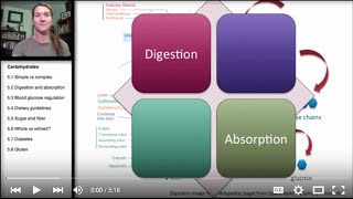 52 Carbohydrates Digestion and Absorption [upl. by Nednarb703]