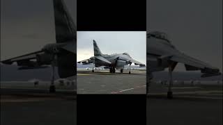 McDonnell Douglas AV8B Harrier II Vertical TakeOff [upl. by Burchett]