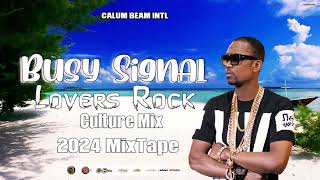 Busy Signal Mixtape Best Of Reggae Lovers rock And Culture Mix  Calum beam intl [upl. by Braun764]