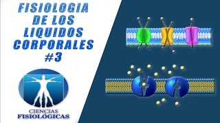 Fisiologia de los liquidos corporales 3 [upl. by Geer]