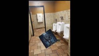 screaming in public restrooms prank [upl. by Enirhtak]