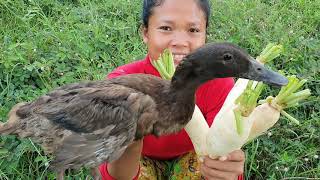 Cooking duck with daikon  eating delicious [upl. by Annej]