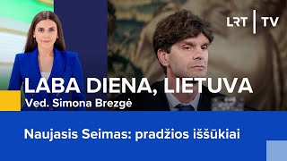 Naujasis Seimas pradžios iššūkiai  Laba diena Lietuva  20241108 [upl. by Ecirtak]