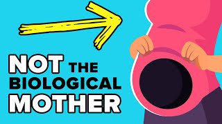 How Does Baby Surrogacy ACTUALLY Work [upl. by Gnort423]