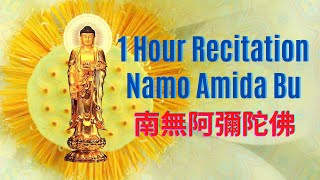 Nembutsu 念佛 No16  Namo Amida Bu Chanting  1 Hour Special  南無阿彌陀佛  Shin Buddhism [upl. by Vina36]