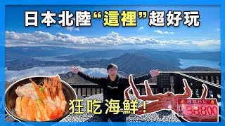 日本北陸自駕遊，私房景點推薦！吃越前蟹、泡溫泉超享受｜福井四日自駕遊 [upl. by Intosh]