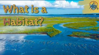 What Is A Habitat  Educational Videos for Kids [upl. by Arratoon]