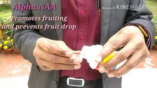 How to Promote Flowering and Prevent Fruit Drop in your Plants [upl. by Ahsiem]