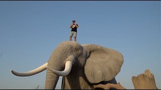 MY NEW PET ELEPHANT IN DUBAI [upl. by Virgin]