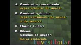 10 Tecidos Condutores Líber ou Floema  Biologia Vestibulando Digital [upl. by Ader]