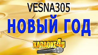 Новый год  VESNA305  Кавер минус [upl. by Elliven]