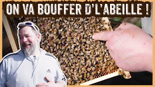 DES ABEILLES ET DU FESTIVAL  S08E09 [upl. by Adlesirk]