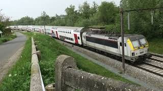 NMBS SNCB  M6 BX  HLE 18  Siemens Eurosprinter  Hennuyères  Brttrainz  L96  IC 19xx  BE [upl. by Garrik]