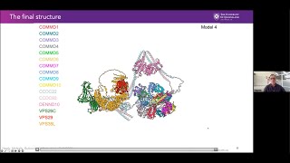 Structure of Commander complex mutated in RSScombining crystallography cryoEM amp AlphaFold2 [upl. by Rehm809]