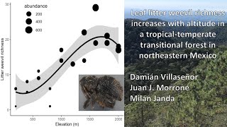 Leaf litter weevil richness increases with elevation in a tropical forest in northeastern Mexico [upl. by Sukul]