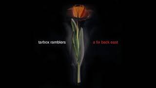 Tarbox Ramblers  Down South Blues [upl. by Nonna]