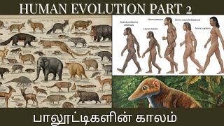 HUMAN EVOLUTION PART 2  பாலூட்டிகளின் காலம் மற்றும் மனிதனின் பரிணாம வளர்ச்சி [upl. by Dowlen]