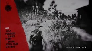 Red Dead Redemption 2 Heartlands Abandoned Shack Bone location [upl. by Ymerej194]