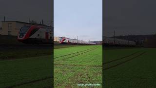 SBB FVDosto RABe 502 bei Bassersdorf [upl. by Artnoed]