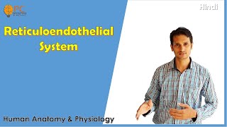 Reticuloendothelial System Physiology  Monocyte Macrophages System [upl. by Akilak]