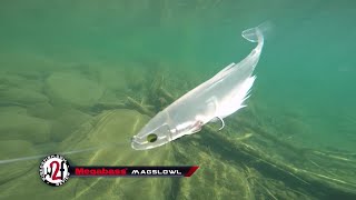 2016 Megabass New Release Fishing Lures Underwater [upl. by Hepsoj661]