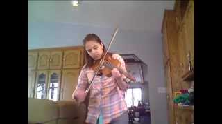 Zebra John Butler Trio violin cover  honkysaxophone [upl. by Sapers]