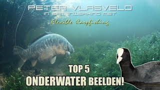 Karpervissen Top 5 bizarre Onderwaterbeelden  Peter Vlasveld AANPAKKEN KARPERVISSEN [upl. by Hiamerej387]