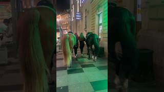 Horsewoman Lady Horse Raider 🐎 Russia 🇷🇺 Saint Petersburg horse shorts viralvideo russia [upl. by Lohcin920]