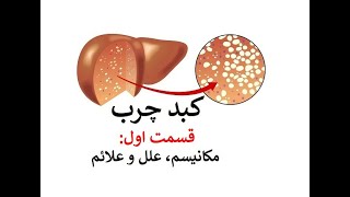 کبد چرب، قسمت اول مکانیسم، علل و علائم دکتر اباذر حبیبی نیا [upl. by Alysoun140]