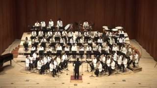 Samba di Janeiro Arrby Friedhelm Schonfeld Doctors Symphonic Band [upl. by Baiel]