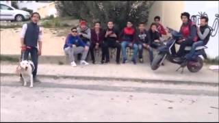 College manar 2 Clash beausite  عاصمة فيها النيكوك réponse rapide [upl. by Werdnaed236]