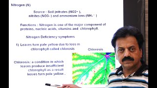 First Year  Chapter 12  Nutrition  Part 4  Mineral Nutrition in Plants  Part 1 [upl. by Ahsieat]