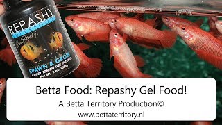 Betta Food Repashy Gel Food [upl. by Oilut]