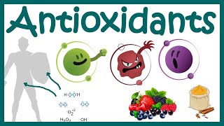 What Is Oxidation – DrBerg on Free Radicals and Antioxidants [upl. by Llerrit490]