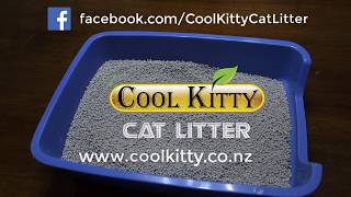 Cool Kitty Cat Litter [upl. by Rattray192]