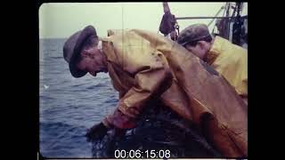 Trawler Fishing at Sea 1960s  Film 1008982 [upl. by Claudie]