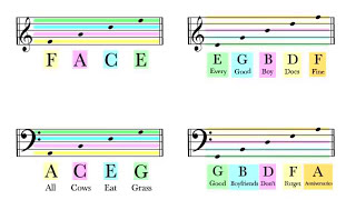 How To Read Notes On The Staff  EASY  Music Theory Tutorial [upl. by Naillij]