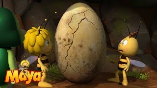 🍯🌹🌻 Willy in the egg  Maya the bee 🌻🌹🍯 [upl. by Trabue]