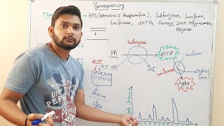 PyrosequencingDNA Sequencingin Hindi [upl. by Dal]