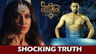 Naagin 3 Major Twist Maahir Is The Real Naagraj Bella In Shock  Colors TV [upl. by Kcirded490]