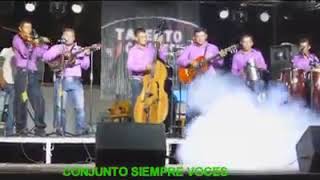 Osito dormilón violines de Honduras [upl. by Orgalim]